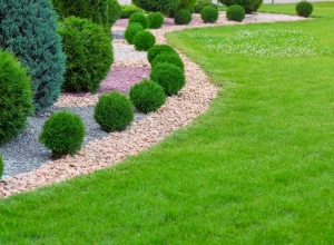 green-sprout-lawn-care